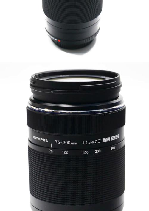 拍鸟奥林巴斯相机哪个好