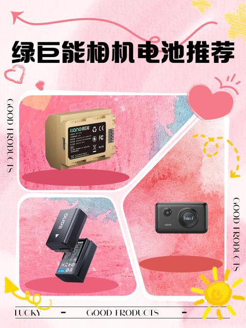 绿巨能和沣标相机电池哪个好