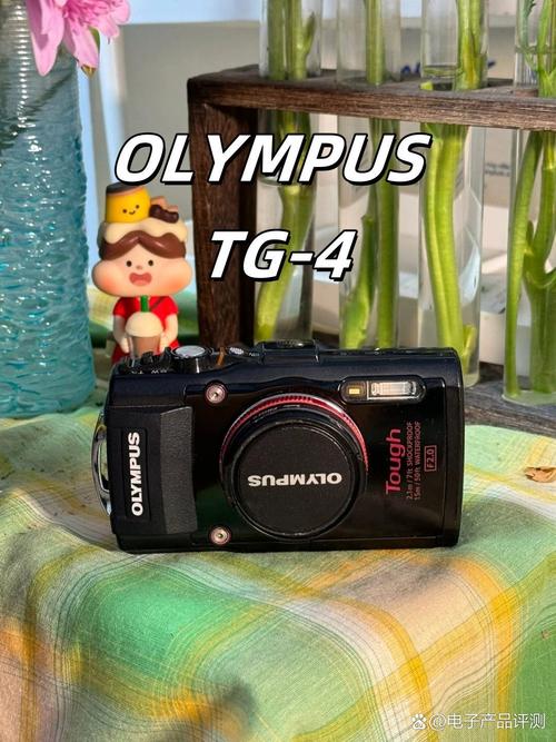 奥林巴斯TG『4』是什么相机?哪位有经验?