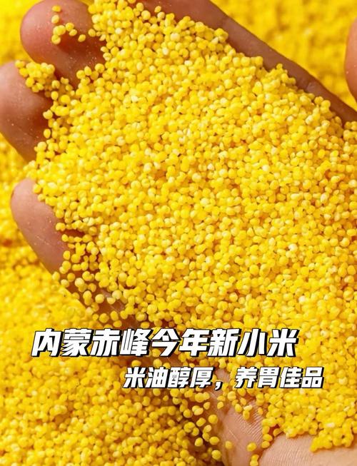 山西特产沁州黄小米多少钱一斤