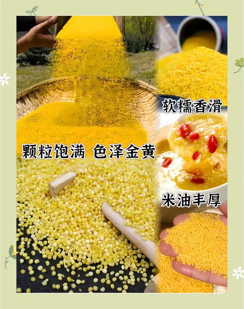 红山峪小米多少钱一斤?