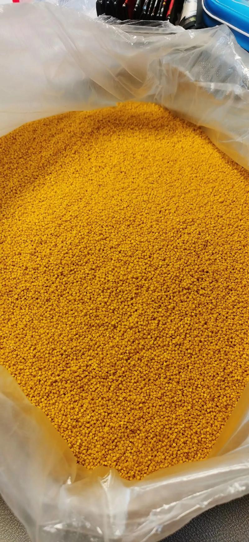 超市小米多少钱一斤