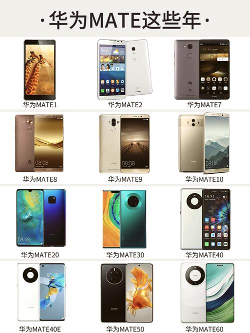 华为p系列和mate系列的区别