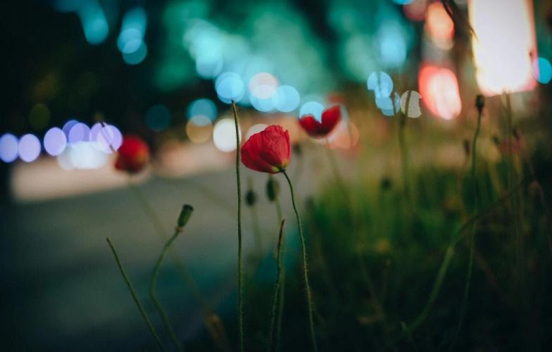 索尼相机a7m4jpeg影像尺寸该怎么选