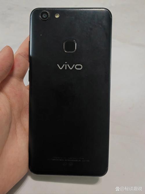 vivo有y79a这款手机吗?