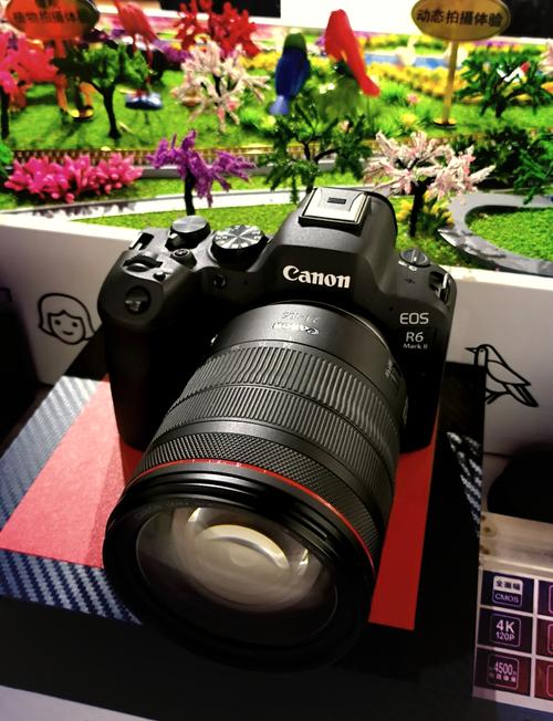 佳能的全画幅相机有哪些型号,佳能的全画幅相机有哪些