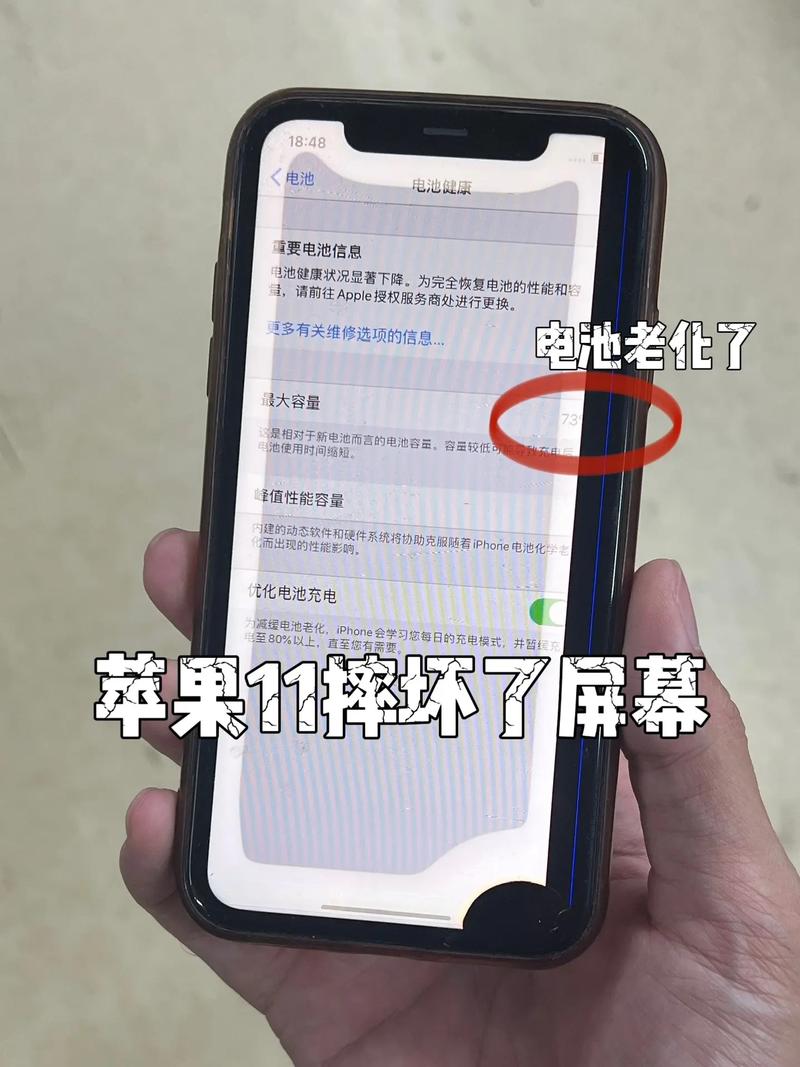 iphone12和12pro显示屏一样吗