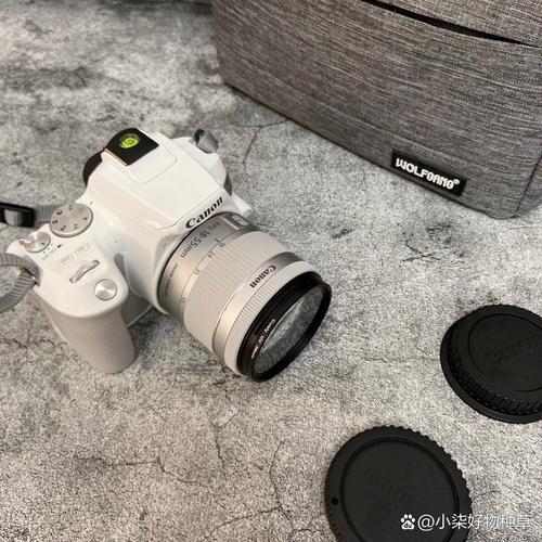 家用单反相机选哪个好