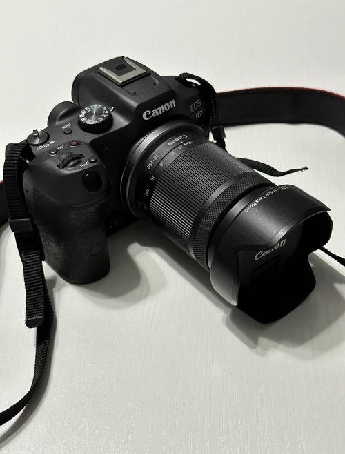 佳能r3与1dx3比较打鸟哪个好