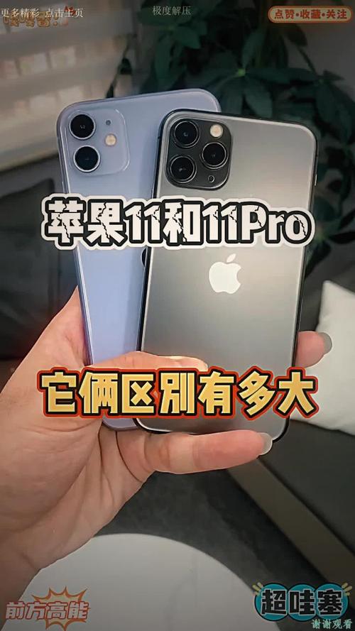 iphone11和iphone11pro有着怎样的区别?