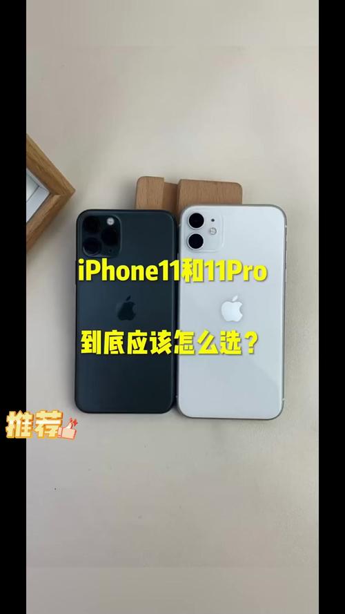 苹果8p和11屏幕对比