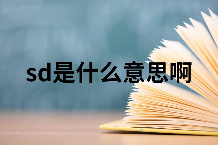 sd啥意思啊谁知道啊