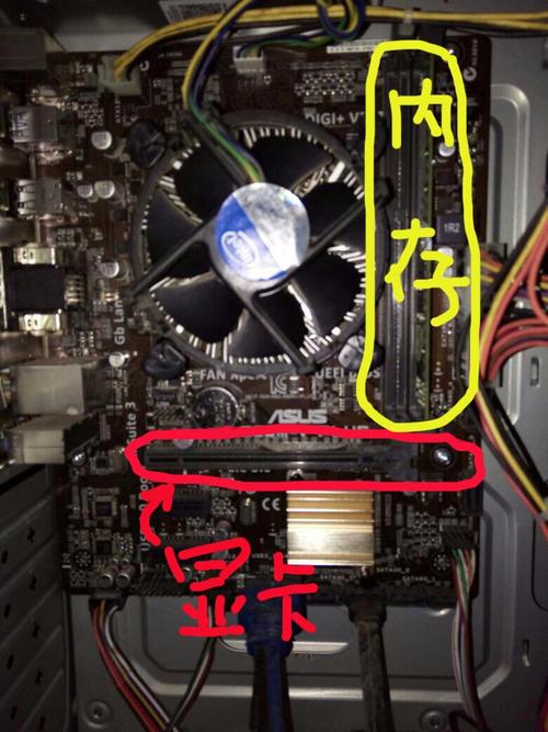 主机显卡在哪个位置