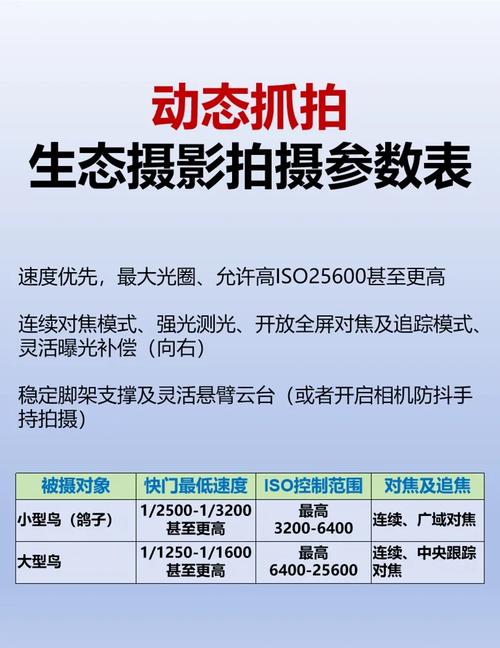 佳能r5markii拍鸟对焦设置技巧