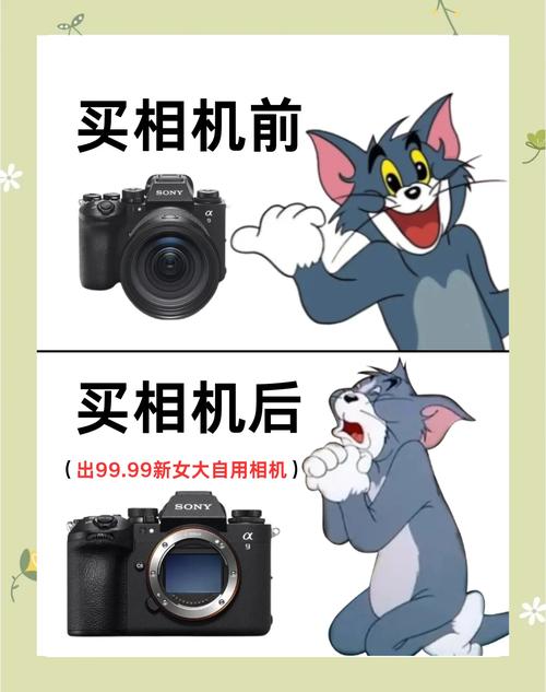 有谁清楚相机都有哪些牌子?哪些适合新手?