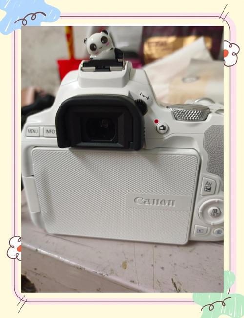 单反性价比高的求推荐?