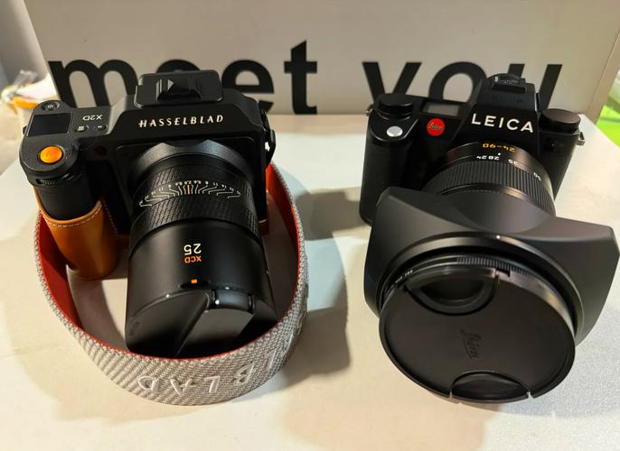 索尼相机和徕卡哪个好啊?有知道的朋友们吗?