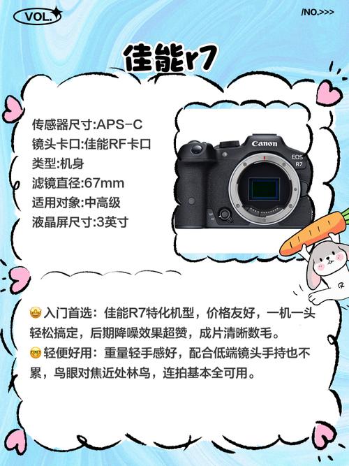 佳能1dx2参数配置