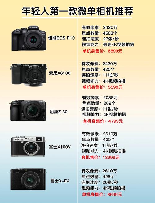 微单相机品牌排名榜前十的是哪些,有人知道吗?