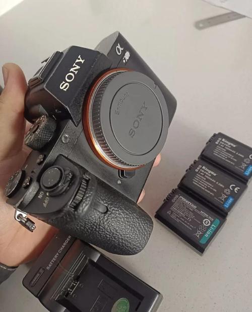 索尼α5100和α6000分别有什么好的镜头推荐呢?