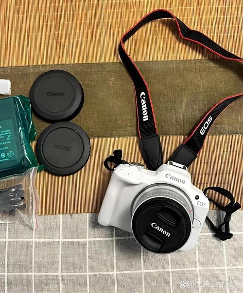 求推荐初级单反或者数码相机!最近应该没有换镜头的想法,女生,喜欢旅游...