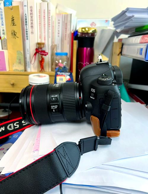 佳能相机怎么查编号?