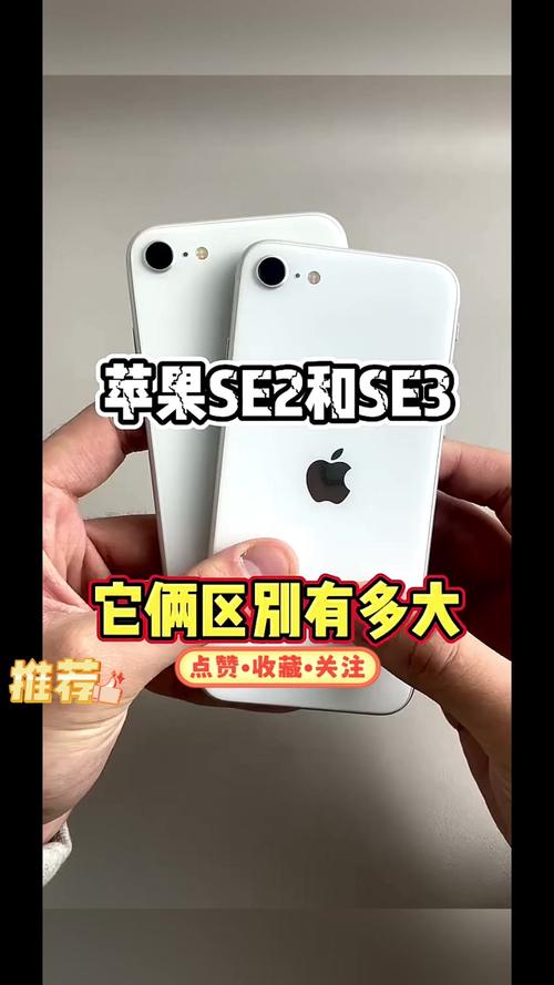苹果手表se和se2怎么区分