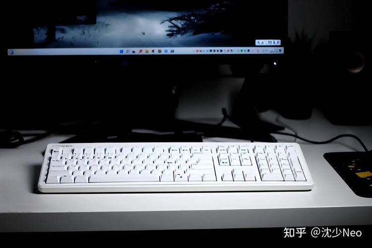 静电容键盘买realforce还是niz?