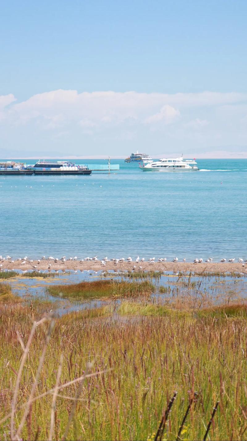 我突然想买个单反相机,主要用来拍风景,有没有推荐?