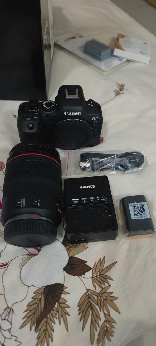 类似佳能r6三代的相机购买预算大概多少,详细参数对比