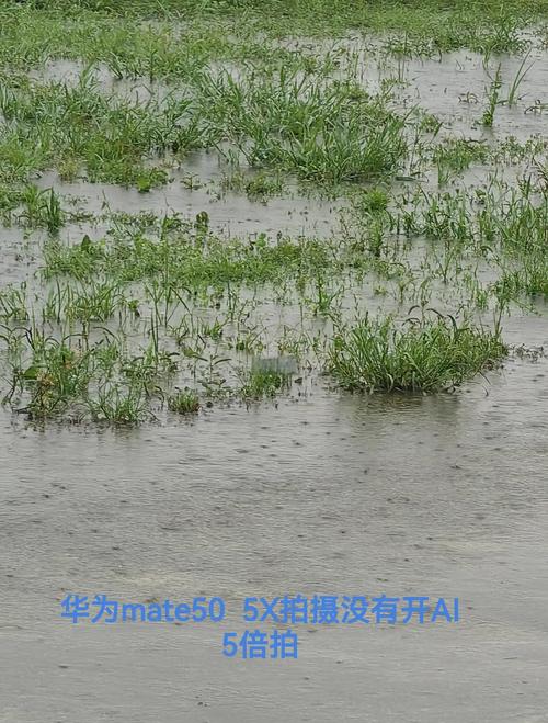 华为p50如何微距拍照?