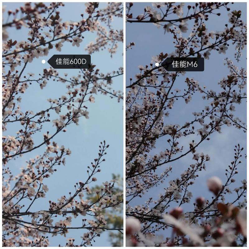 佳能450d配什么镜头