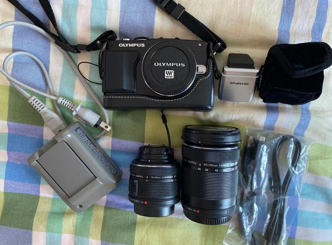 奥林巴斯E-PL5套机,索尼NEX『5』R套机和RX100这三个应该怎样选取?