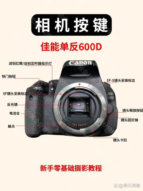 佳能600D实时显示拍摄怎么用?