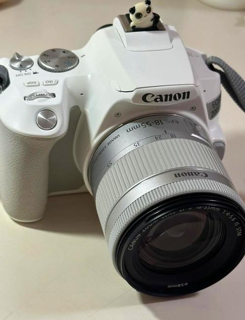 2019年五款5000元以下的入门相机,特别推荐给新手学生党