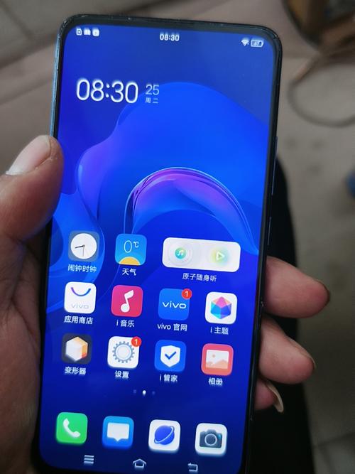 vivox21s参数配置?屏幕素质怎么样