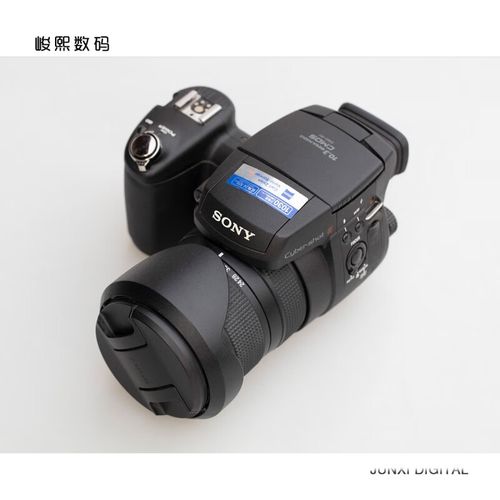 索尼dsc-r1怎么充电