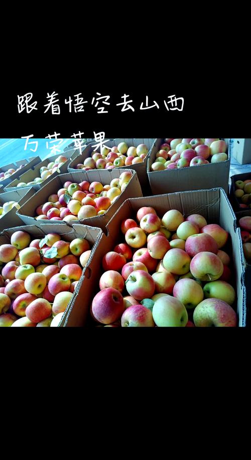 正常苹果多少钱一斤