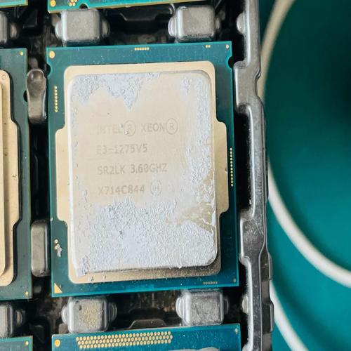 哪个型号的至强E3的核显强?