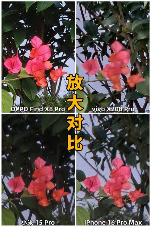 iphone8plus和iphonexr拍照哪个更好