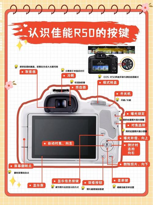 每天认识一台相机|今天是佳能R50