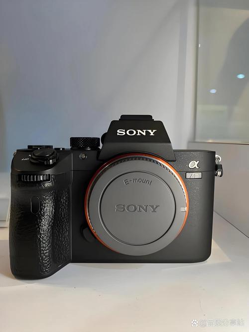索尼全画幅饼干头有哪些啊,索尼a7m3接上其他镜头就成了巨单了呜呜呜真...