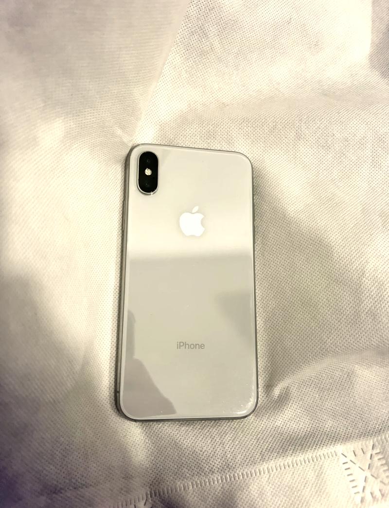 苹果10什么品牌