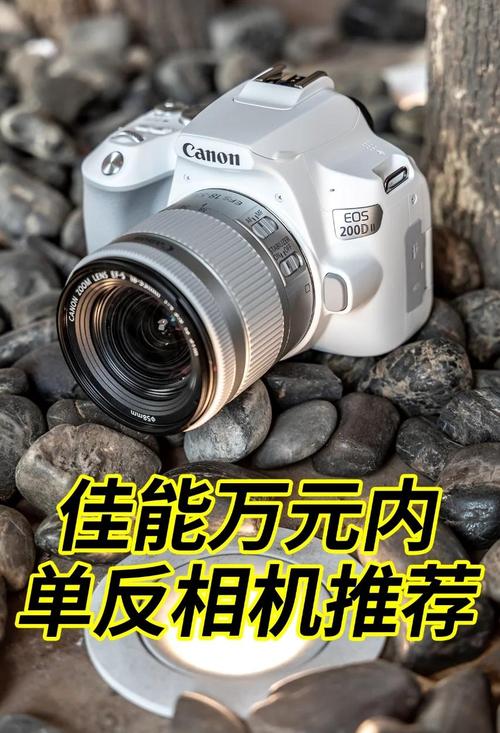 佳能两款相机对比评测,预算多少合适