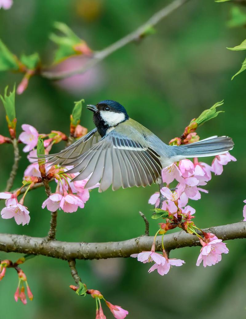 前十最贵单反相机