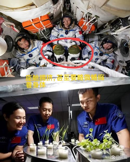 神舟十号三位宇航员下大雨需要几小时返回地球一