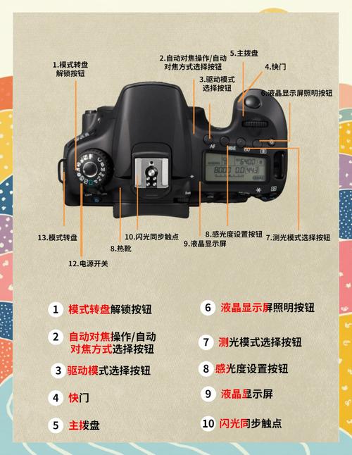 佳能80d怎么进行放大和对焦