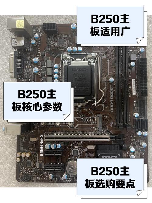 b150主板配什么内存