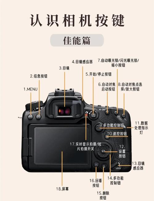 佳能6d怎么调自拍定时