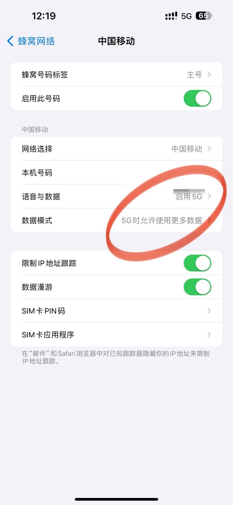 iphone如何开启5g网络